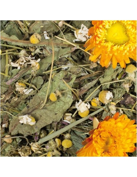 Grainless RELAKS rumianek & mlecz 100g, JR Farm