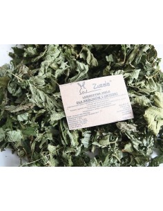Leszczyna ziele 50g, Zuzala