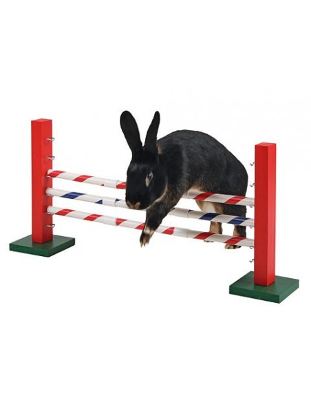 Przeszkoda do Agility