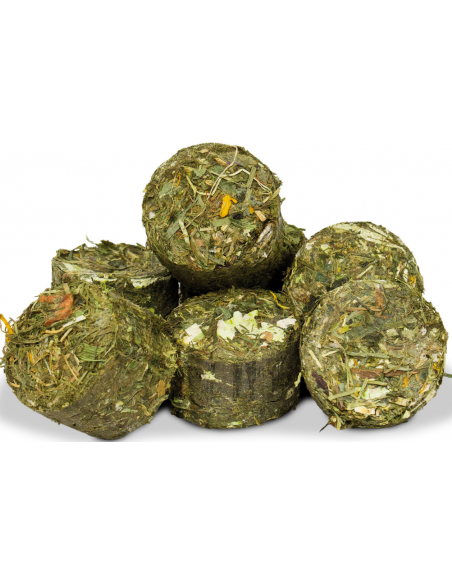 Grainless One Królik 950g, JR Farm