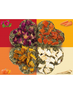 Koniczynka - Lucky-Quartet 60g, JR Farm