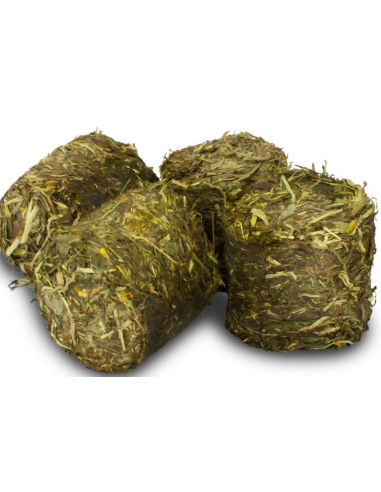 Vital Blocks na skórę i sierść 300g, JR Farm