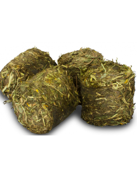 Vital Blocks na nerki i pęcherz 300g, JR Farm