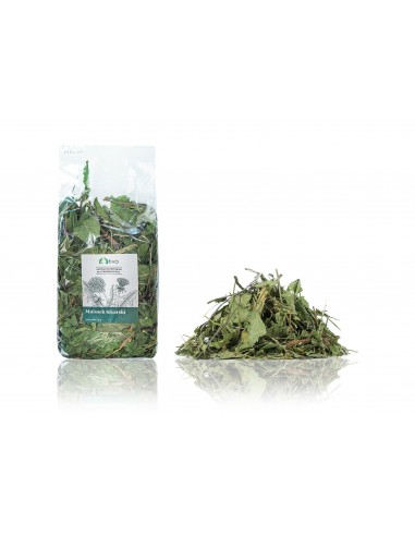 Mniszek lekarski 600g, TiVo