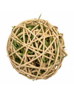 Kula Sianula duża, TiVo