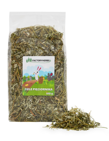 Ziele pięciornika 100g, FactoryHerbs