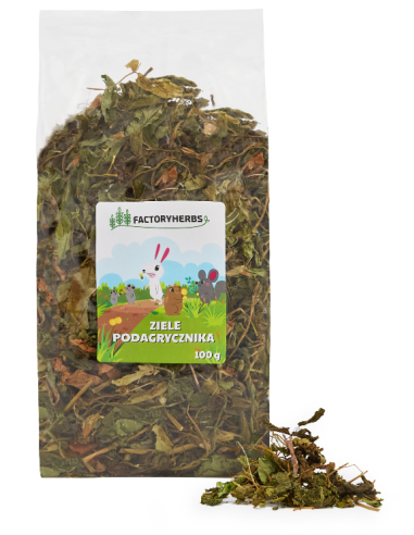 Ziele podagrycznika 100g, FactoryHerbs