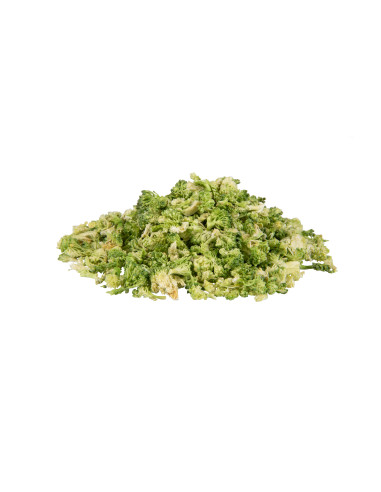 Brokuł liofilizowany 20g, Tivo