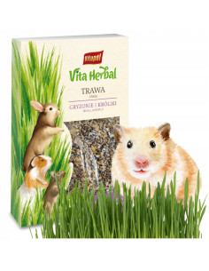 Trawa w pojemniku 100g, ZVP-1005