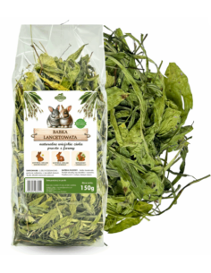 Babka lancetowata 150g, SAMFARM