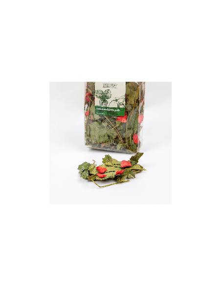Truskawkowe pole 100g, Tivo