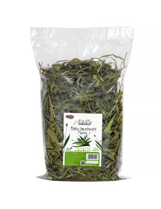 Babka lancetowata 300g, Alegia