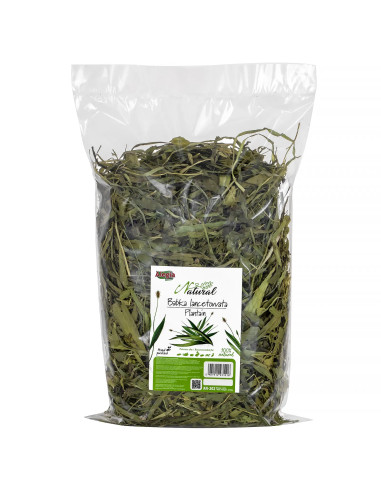 Babka lancetowata 300g, Alegia