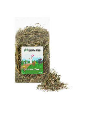 Ziele wiązówki 100g, FactoryHerbs