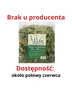 Babka szerokolistna XXL 400g, Tivo