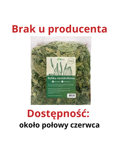 Babka szerokolistna XXL 400g, Tivo