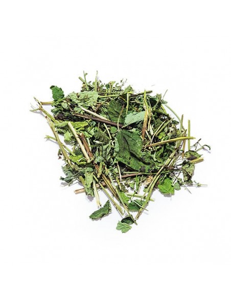 Melisa 100g, Tivo