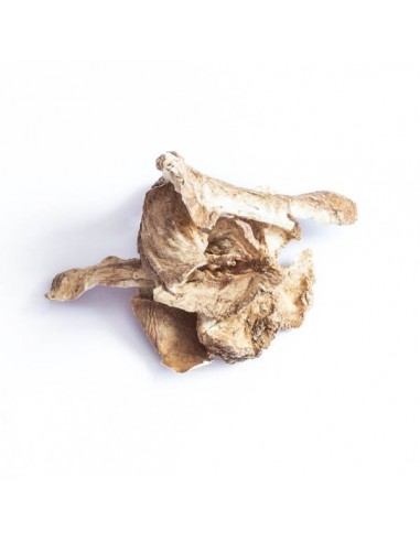 Cykoria podróżnik korzeń 80g, TiVo