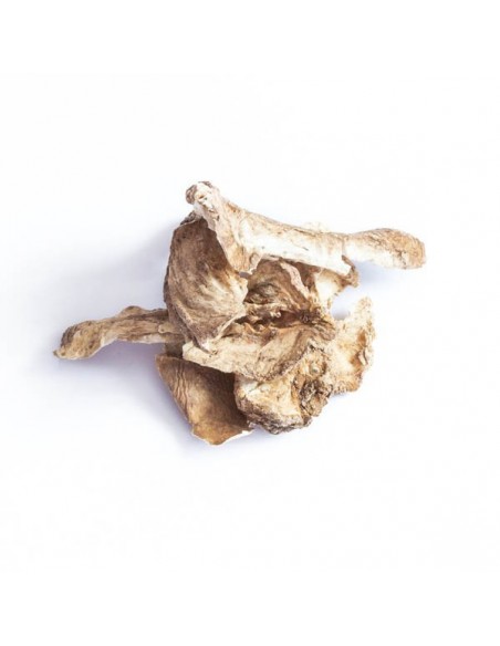 Cykoria podróżnik korzeń 80g, TiVo