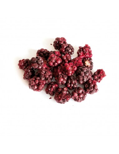 JEŻYNA LIOFILIZOWANA 20g, TIVO