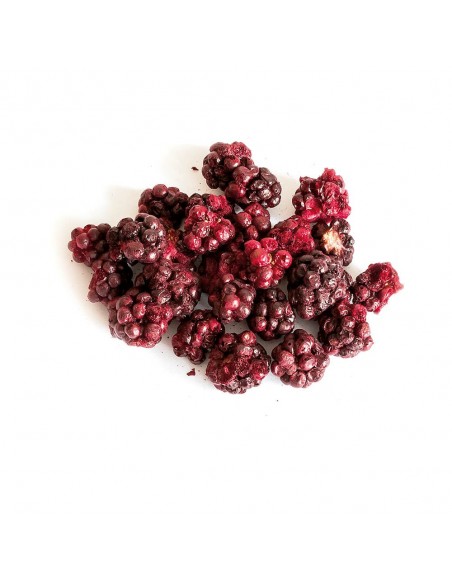 JEŻYNA LIOFILIZOWANA 20g, TIVO